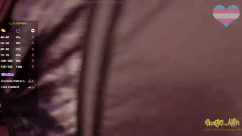 Gage Allin AKA Alpha Pussy online show from April 9, 10:37 pm