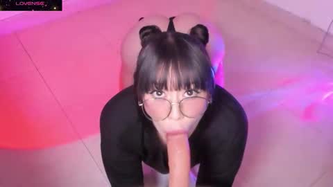 PROXIMO SHOW NOVIEMBRE 16   NEXT SHOW NOVEMBER  16    online show from October 21, 12:11 am