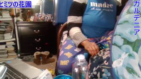 Gardenia online show from December 24, 5:13 pm