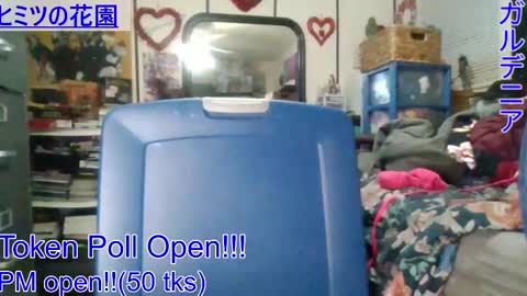 Gardenia online show from January 4, 7:55 am