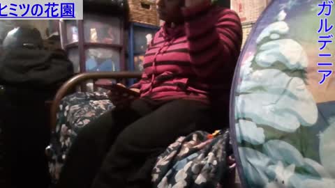 Gardenia online show from January 10, 7:04 am