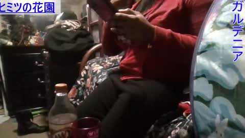 Gardenia online show from January 12, 7:11 am