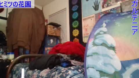 Gardenia online show from January 21, 7:37 am