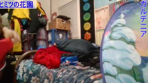 Gardenia online show from January 24, 8:34 am