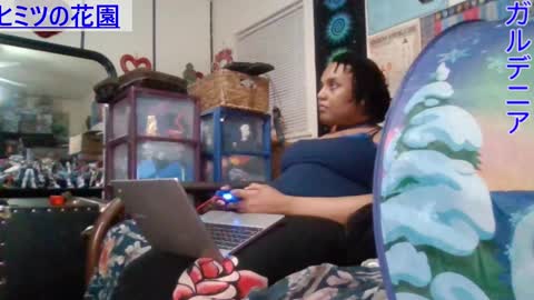 Gardenia online show from February 1, 12:51 am