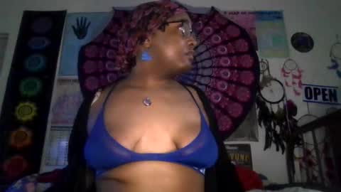 Gardenia online show from March 2, 9:16 am