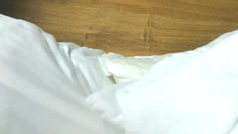 Rose online show from February 7, 8:29 am