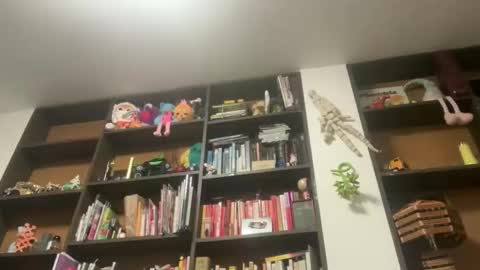 Gargoyle online show from May 29, 3:48 am