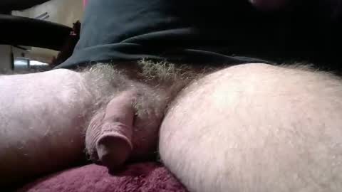 gemini_2 online show from January 14, 4:01 pm