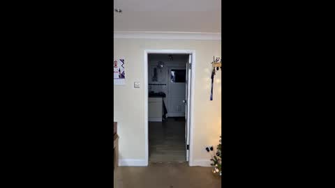 Snapshot of gemmaquinzel chatting on December 5, 4:14 pm gemmaquinzel online show from December 5, 4:14 pm