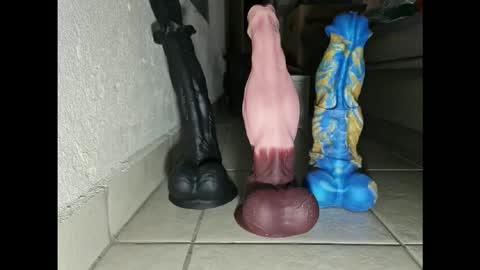 generalerectional online show from November 10, 10:36 am