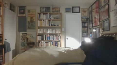 Steve online show from November 26, 7:42 am