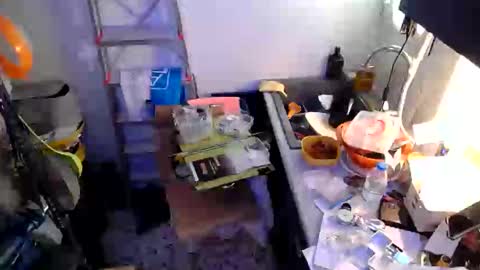 georgempt online show from January 18, 9:24 am