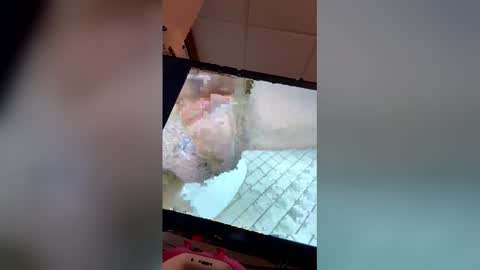 georgewithahj online show from April 18, 12:58 am