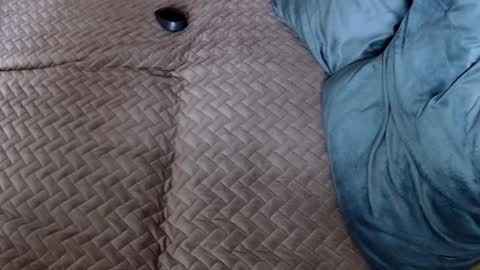 Melissa online show from November 30, 10:19 am