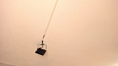 Georgina  online show from March 15, 11:05 am