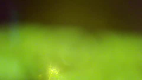 germanandy71 online show from January 6, 6:50 am