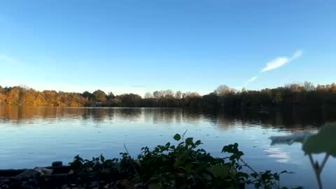 Snapshot of germanwankingman92 chatting on November 5, 3:12 pm Pink Dog online show from November 5, 3:12 pm