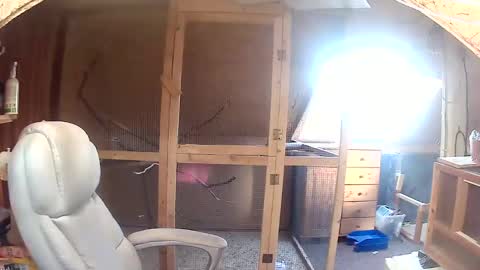 germany_50 online show from September 20, 6:36 am