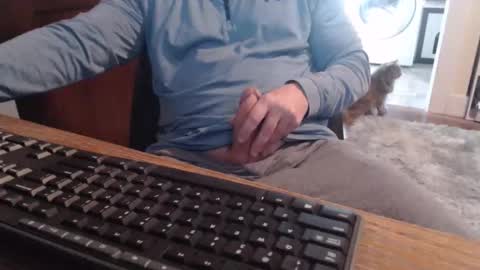 gethoggy online show from October 23, 2:16 pm