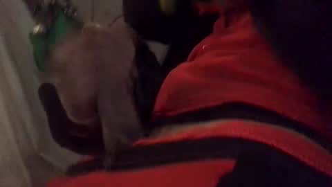 Snapshot of ghallofino26 chatting on February 5, 2:49 am ghallofino26 online show from February 5, 2:49 am