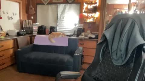 ghostboygbc online show from November 26, 4:57 am