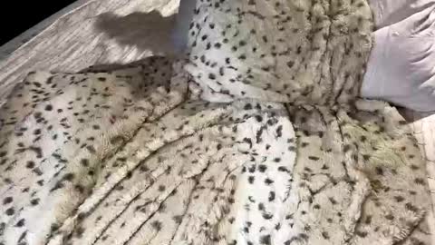 Snapshot of giaa4everr chatting on November 7, 11:49 pm Giaa4ever online show from November 7, 11:49 pm