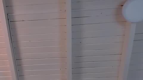 gigi wilden online show from February 12, 2:10 pm