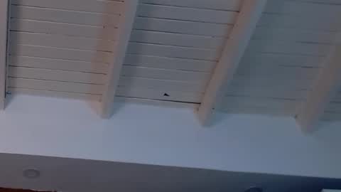 gigi wilden online show from February 19, 8:20 pm