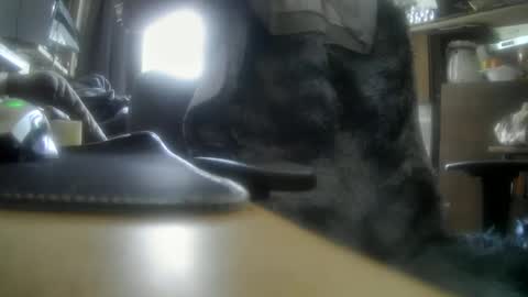 giovanne1 online show from December 5, 12:11 pm