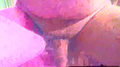 girafsnoop online show from December 1, 4:01 pm