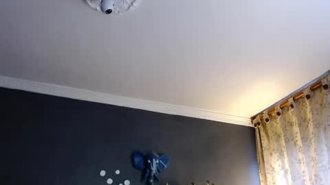 piggy boy online show from January 31, 8:54 pm