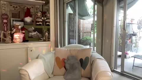 Gl1tter Barbie online show from November 26, 12:39 pm