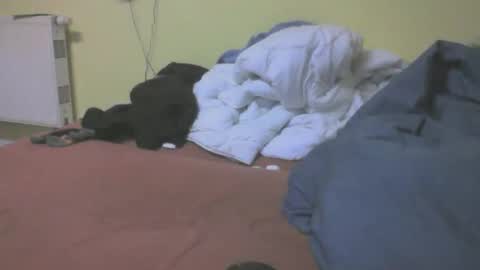 Snapshot of gnz310388 chatting on March 4, 7:20 pm gnz310388 online show from March 4, 7:20 pm