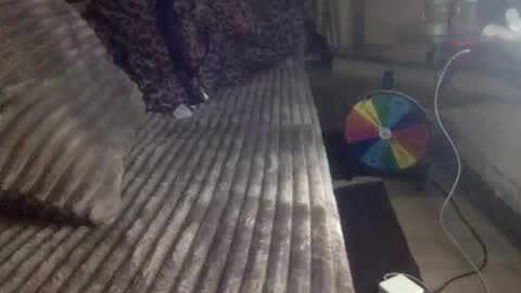 Goddess Cocoa online show from April 14, 3:56 am