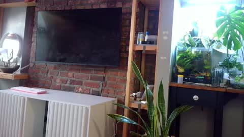 Goodess Jojo online show from February 7, 9:18 pm