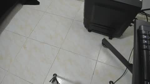 Snapshot of goldyht chatting on December 16, 12:54 pm goldyht online show from December 16, 12:54 pm