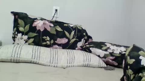 lightskingirl19 online show from April 10, 7:24 am