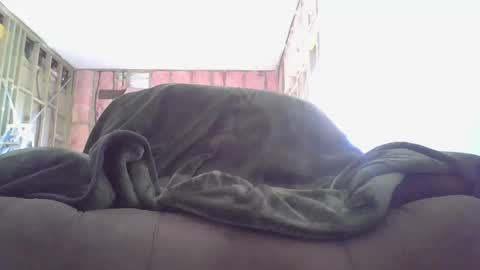 goodcock12345 online show from December 3, 8:28 pm