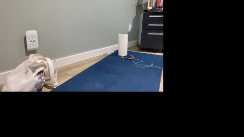 Snapshot of goshlover chatting on November 4, 5:01 pm GoshLover online show from November 4, 5:01 pm