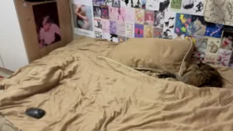 Amy online show from July 10, 6:32 pm