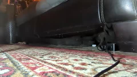 Snapshot of gothicfeetfantasies chatting on January 25, 7:17 am Mistress Mommy Godess online show from January 25, 7:17 am