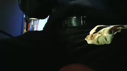 grapefruit online show from March 11, 9:48 am