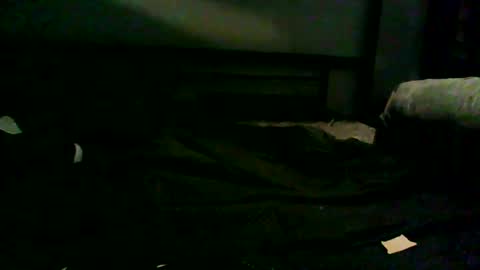 grd137 online show from September 12, 9:09 am