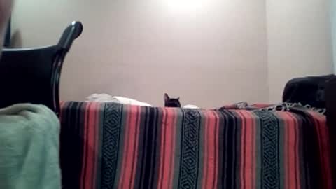 Jack online show from April 11, 7:45 am