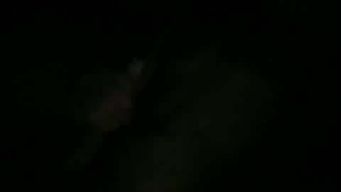 Sonny online show from October 11, 10:25 am