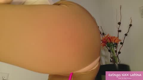 gringo_xxx_latina online show from November 20, 3:50 am