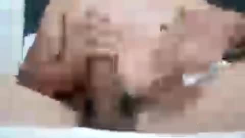 Snapshot of guapopapi88 chatting on August 3, 8:12 pm guapopapi88 online show from August 3, 8:12 pm