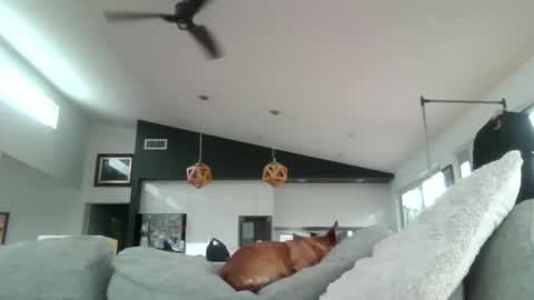 gumbyliscious online show from January 18, 9:18 pm