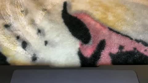 gumbywanna online show from March 9, 6:06 am